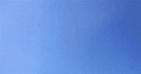 Cute Things Exploding Cat 的图像结果