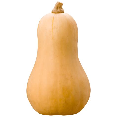 How To Select, Store, and Serve Butternut Squash - The Produce Moms