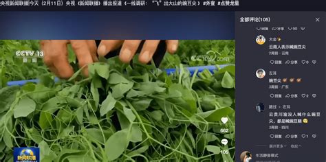 贵州银行放贷500万促“网红蔬菜”基地发展_龙里_种植_企业