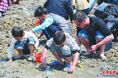 原來，挖蛤仔也太困難了吧～～海山漁港摸蛤仔！#海山漁港 #香山溼地