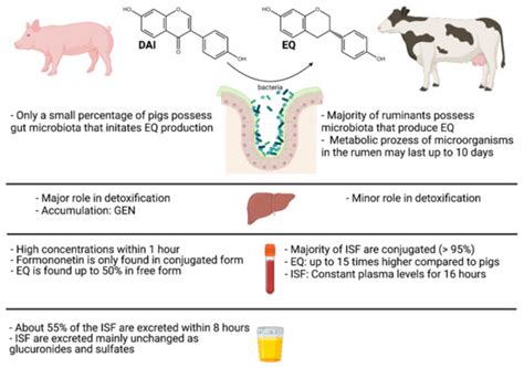Isoflavones in Animals: Metabolism and Effects in Livestock and ...