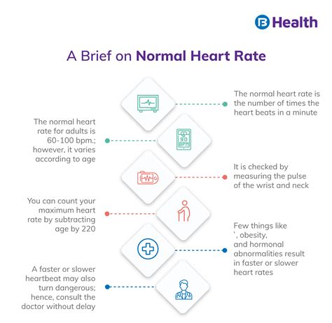 Know All the Details About Normal Heart Rate Here