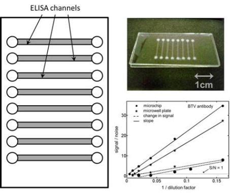 Kinetic ELISA in Microfluidic Channels