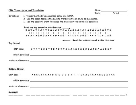 Dna Replication Transcription And Translation Worksheets