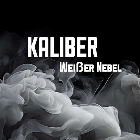 Kaliber - Weißer Nebel.mp3 - rappers.in | Free Beats Download | Upload ...