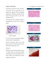 Image result for Labster Cell Structure
