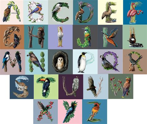 Types Of Birds 4 Letters at Autumn Allen blog