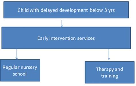 Unit 4: Assessment of students with ID