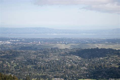Windy Hill Open Space Preserve