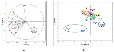 Characterization and Classification of Soils in Agroecosystems in a ...