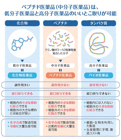 Image result for Explainer Slide Example
