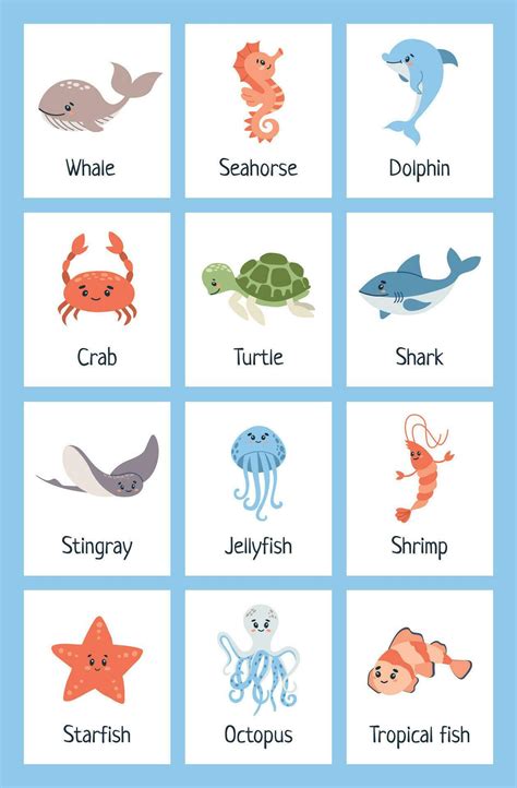 Sea animal flashcards. Learning ocean vocabulary. Sea creatures ...