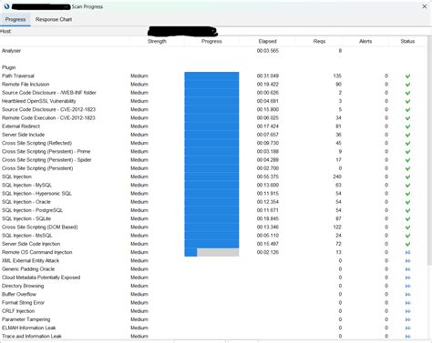 API Security Testing Using Zap 的图像结果