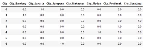 One Hot Encoding in Python 的图像结果