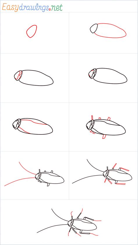 Image result for How to Draw a Cockroach Step by Step