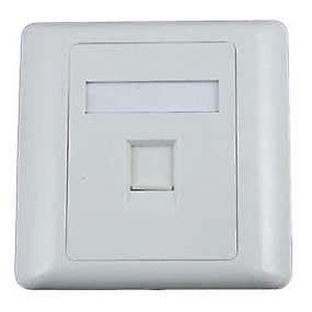 Face Plate 2 Port for CAT 6 Information Outlet : Amazon.in: Electronics
