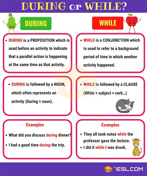 During vs While | Difference Between During and While ~ ENJOY THE JOURNEY