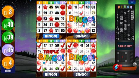 all bingo 101 download ios apk