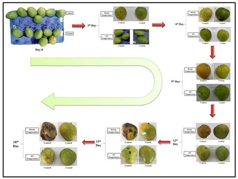 Is Mango Peel Edible