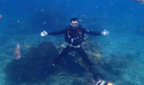PADI 救援潜水员课程 - 中国·上海 悠蓝国际潜水俱乐部