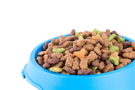 Cat Food 的图像结果