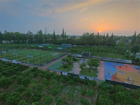 Rustic Sportsfield 的图像结果