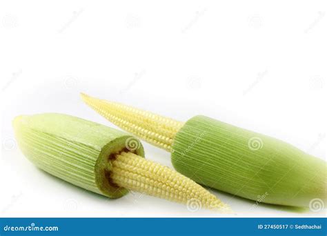 Baby corn stock image. Image of bature, healthy, closeup - 27450517
