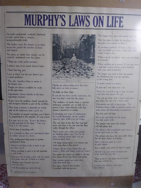 Murphy's Law on Life : r/interestingasfuck