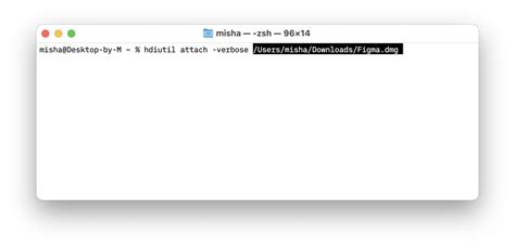 No Mountable File System Mac 的图像结果