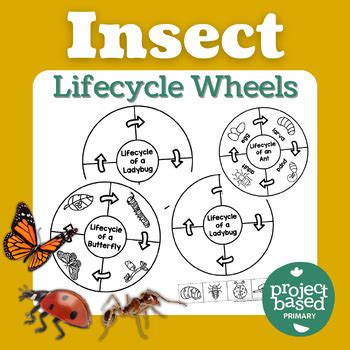 Image result for C4d Insect Walk Cycle Tutorial