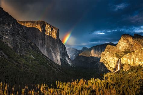 Visiting Yosemite in July: A Comprehensive Guide to Help You Plan - The Redwoods In Yosemite