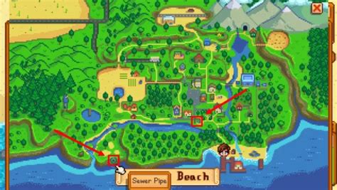 How to Unlock the Sewers in Stardew Valley?