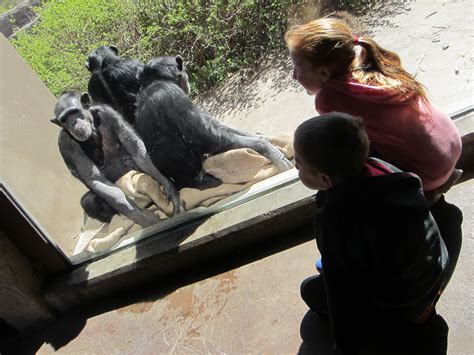 Image result for Spring Break 2016 Competition