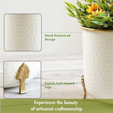 Metal Gold Rim Leaf leg Planter, Set