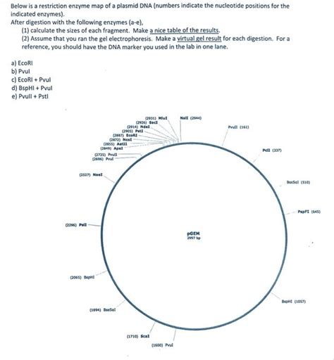 Image result for Restriction Enzyme Map
