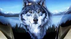 Wolf Wallpaper For Computer by Wallpaper Hd Wolf Wallpapers Wolf Wallpaper For Computer