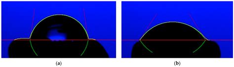 Germination, Physicochemical Properties, and Antioxidant Enzyme ...