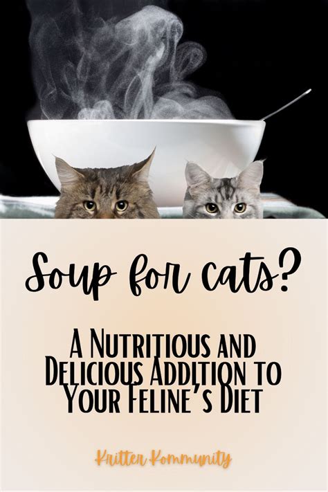 Soup for Cats: A Nutritious and Delicious Addition to Your Feline's ...