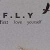 I __ the tiy you brought home yesterday - Brainly.in