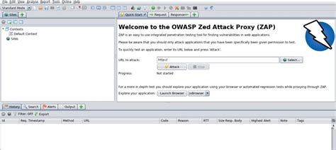 OWASP ZAP Scanner 的图像结果
