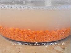 lenticchie a bagno vellutata di lenticchie rosse ricetta vellutata di lenticchie a bagno vellutata di lenticchie rosse ricetta vellutata di
