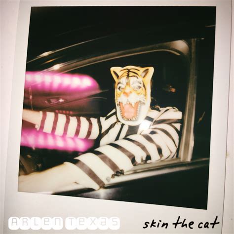 Arlen Texas - skin the cat : r/fakealbumcovers