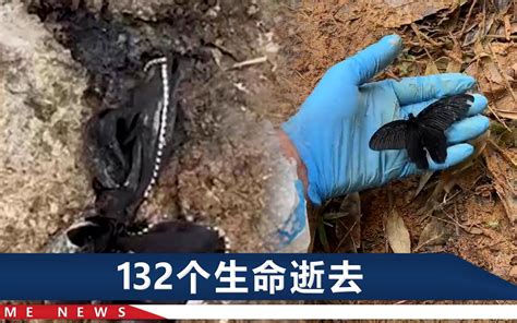 “3·21”东航飞行事故客机第二个黑匣子发现点确认_央广网