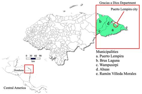 Field Evaluation of a Hemozoin-Based Malaria Diagnostic Device in ...