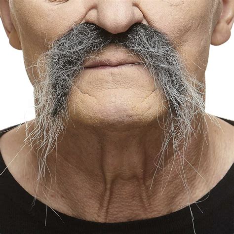 Fu Manchu Mustache Cartoon