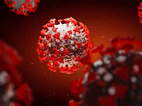 Coronavirus: Key terms explained - Coronavirus and Covid-19 | The ...
