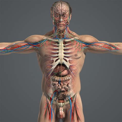 Image result for Anatomy of a Function in JavaScript