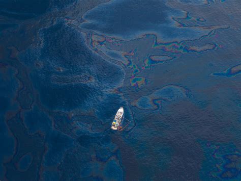 Big oil keeps blocking efforts to save the planet | Meer