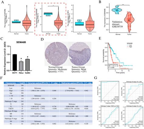 Integrative Analysis of Neutrophil-Associated Genes Reveals Prognostic ...