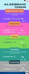 Infographics: Algebric Terms - Mathematics (Maths) Class 8 PDF Download